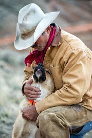 Old Hopes Boots By Michael Huggan Cowboy Ranch Cowboy Horse Cowboy Art
