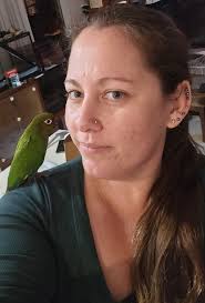 ipswich qld pet givaway