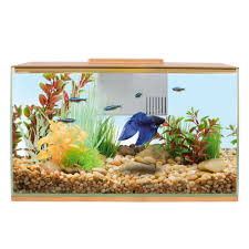 Top Fin Bettaflo Betta Aquarium Betta Aquarium Aquarium Betta