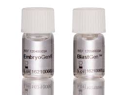 Image result for CSF Culture