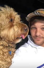 Pin de Fernanda Moniz en one direction