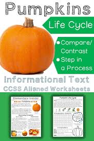 Pumpkins Informational Text Life Cycle Ri 2 3 Ri 2 9 In 2020 Informational Text Pumpkin Life Cycle Pumpkin