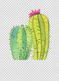 cactaceae succulent plant display resolution png cactus cactus cartoon cactus flower cactus vector caryophyl planting succulents succulents cactus vector