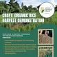 CRAFT: Organic Rice Harvest Demonstration