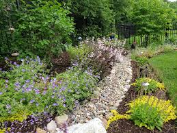 We noticed water pooling in the backyard where our property meets our uphill neighbors'. How To Fix Backyard Drainage Problems The Right Way Van Zelst