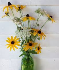 Cherry brandy ranges in color from brilliant red to maroon to red with pinkish tips with a jet black center just like the traditional black eyed susan's.black eyed susan's are actually in the sunflower family! Summer Pasture Bouquet Black Eyed Susan Wildflower Bouquet Birthday Flowers Bouquet