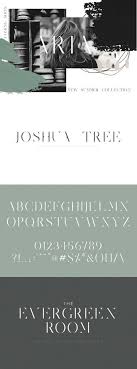 The modern sans light font is a lovely script font created with the aid of ergibi studio. Joshua Tree Font A Gorgeous Serif Fonts Design Graphicdesign Available At Fontbundles Net Modern Fonts Serif Best Serif Fonts