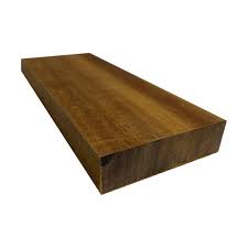 Image result for Dialium holtzii