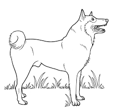 Dog Coloring Pages K5 Worksheets In 2020 Dog Coloring Page Dog Coloring Book Horse Coloring Pages