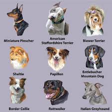 See how much you really know about history's most famous dogs with our fun multiple choice quiz. Famous Dog Name Vector Free Download