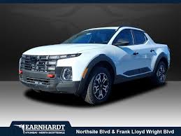 Image result for Blue Stone 2025 Santa Cruz