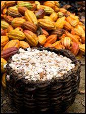 Beurre De Cacao