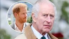 King Charles Risks Appearing 'Petty' About Prince Harry