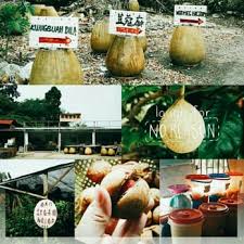 Update information for ghee hup nutmeg factory ». Ghee Hup Nutmeg Factory Specialty Food 202a Jalan Tanjung Bungah Balik Pulau Penang Malaysia
