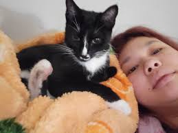 Lost dog in Hoover at Patton Creek condos