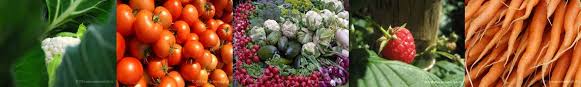 Legumes Et Fruits Frais