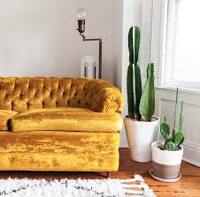 Maybe you would like to learn more about one of these? This Beautiful Sofa With It S Tufted Back And Mustard Yellow Velvet Is Essential For Any Vintage Seekers Ho Vintage Home Decor Home Decor Creative Home Decor