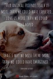 Grief is often isolating, and receiving a compassionate sympathy card can make a. 100 Best Sympathy Quotes Pet Sympathy Quotes Dog Sympathy Sympathy Quotes