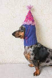 Small Dog Party Hat Pattern By Valya Boutenko Dog Party Hat Dog Party Party Hat Pattern