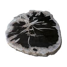 946 black petrified wood products are offered for sale by suppliers on alibaba.com, of which crystal crafts accounts for 1%, other natural stone accounts for 1%, and coffee tables accounts for 1%. Petrified Wood Slab Pws1h Jewelry Beauty Craft Supplies Tools Silmic Com
