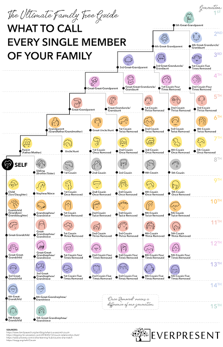 A cool guide to what to call every single member of your family tree. :  r/coolguides