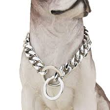 Image result for why pitbull heavy chain