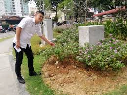 Tua mukim batu, gombak 68100 batu caves selangor telefon: Rm1 000 Reward To Help Catch Plant Thief Buletin Mutiara