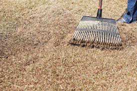 Root growth occurs mainly when soil temps are between 50 and 65 degrees. How To Bring Your Lawn Back To Life In 5 Simple Steps