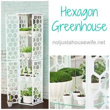 Hexagon Greenhouse Indoor Greenhouse Outdoor Decor Greenhouse
