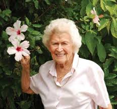 Image result for Hymenodictyon austro-africanum