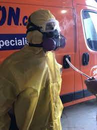 Home »mold removal »mold problems. Mold Removal Fayetteville Mold Decontamination Services