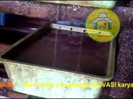 Tidak hanya ikan yang dapat dikonsumsi seperti biasa tetapi juga sangat cocok digunakan untuk ikan hias. Joglo Cacing Mjc Budidaya Cacing Sutra Nampan Bertingkat Csnb Youtube