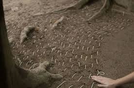 Bildergebnis für Maria Laet