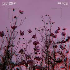  Leniskm Leniskm Profil Pinterest