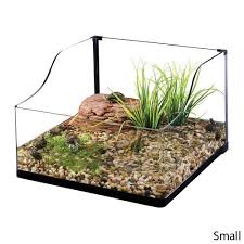 Hagen Exo Terra Bent Glass Turtle Terrarium 18 By 18 By 8 Inch 115 Turtle Terrarium Terrarium Small Terrarium
