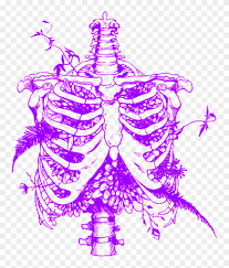 The rib cage is a part of the torso of a human being. Aesthetic Skull Skeleton Ribcage Ribs Flowers Rib Cage Drawing Clipart 5337013 Pikpng
