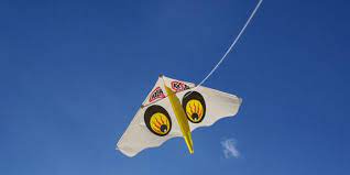 ７０年代 ８０年代限定 昔の懐かしいおもちゃランキング 2ページ目 ランキングシェア bygmo ゲイラカイト 凧揚げ 昔