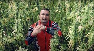 Ernährt euch von pedigree also geht auf die knie und leckt sippi ey, denn alle ticken nur noch hasch von mir baba sattla aus tbc und jeder fuffi, den ss verdient. Ssio Tbc Outfit Starter Jacke Trainingsanzug Rolex Dg Jacke