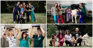 La iași, peste 600 de liceeni au susținut astăzi simularea este prima sesiune de simulare pe care umf o organizează în acest an. Cum E SÄƒ Fii Student La Facultatea De MedicinÄƒ VeterinarÄƒ Din Cluj
