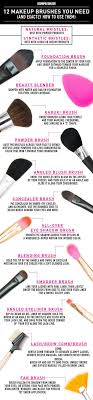 The Only Makeup Brushes You Really Need And Exactly How To Use Them Best Makeup Brushes Makeup Brushes Guide Makeup Accessories