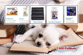 15 Off Sitewide Free Shipping Over 49 On 1800petmeds Medicians Fishoilomega Chewables Step Ramps Discount Codes Coupon Coupon Codes Coupons