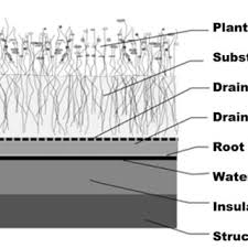 The first green roofing material you need to have is rot resistant wood. Pdf Green Roof Ecosystems Summary And Synthesis