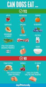 What Fruits Can Dogs Eat A List Of Popular Fruits Dogs Naturally Human Food For Dogs Can Dogs Eat Can Dogs Eat Apples