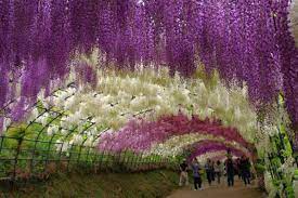 Pin On Travelscapes