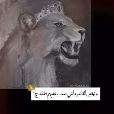 lion اسد لبوه حب عشق lonely art book cover art cute tumblr pictures