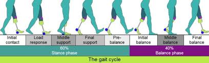 Image result for Gait