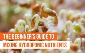 The Beginners Guide To Mixing Hydroponic Nutrients