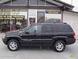 Image result for Brilliant Black 2004 Jeep
