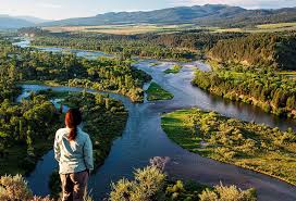 We also carry healthy plants, helpful tools and a wide variety of other home goods. Amazing Things To Do In Idaho Falls With Kids Travelila