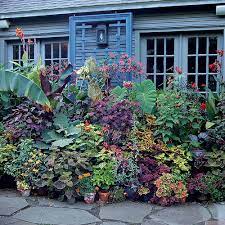 How to display garden pots. Staging A Container Plant Display Finegardening